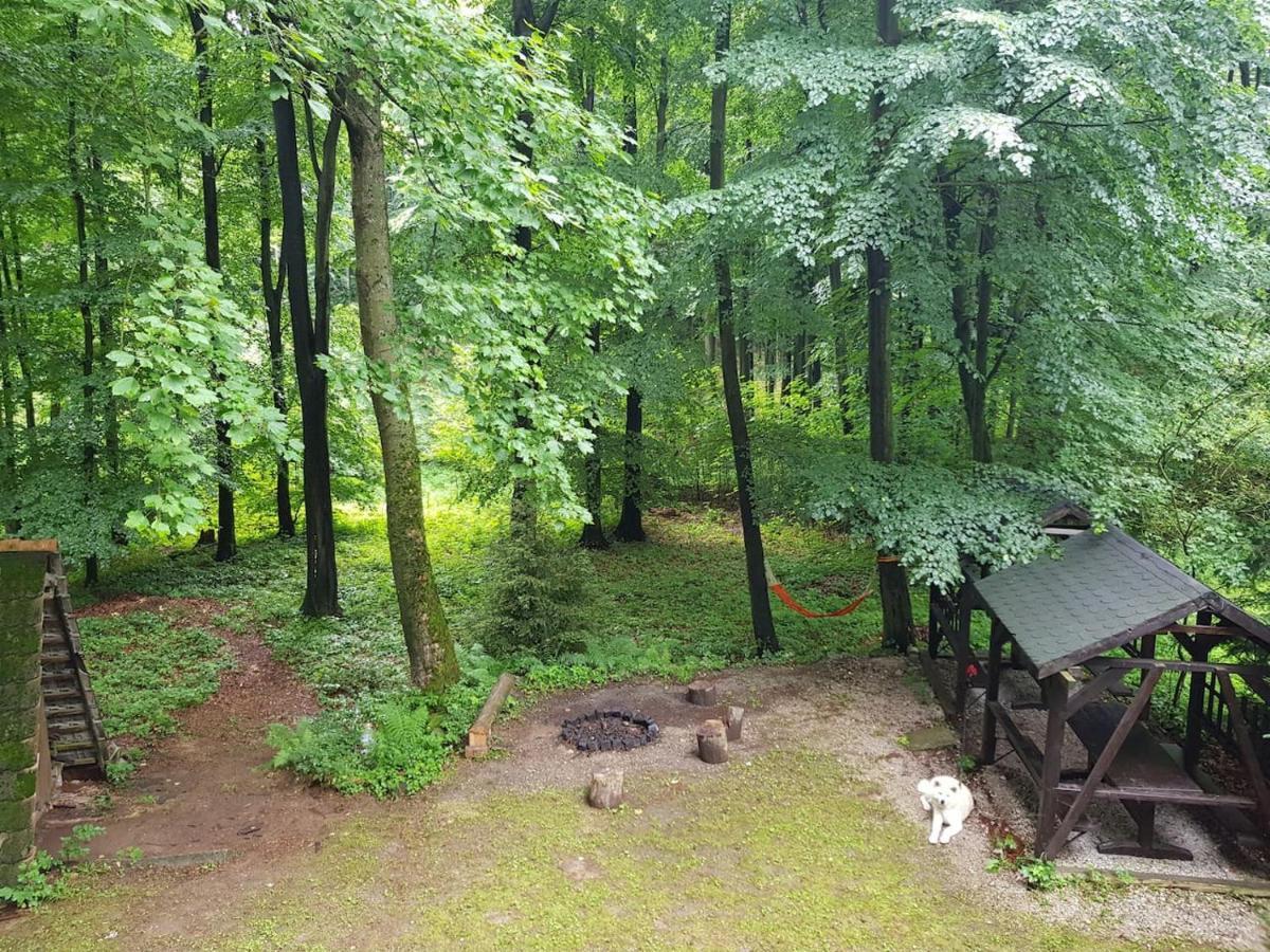 Slovak Cottage Near Bratislava In The Heart Of The Carpathians Модра Екстериор снимка