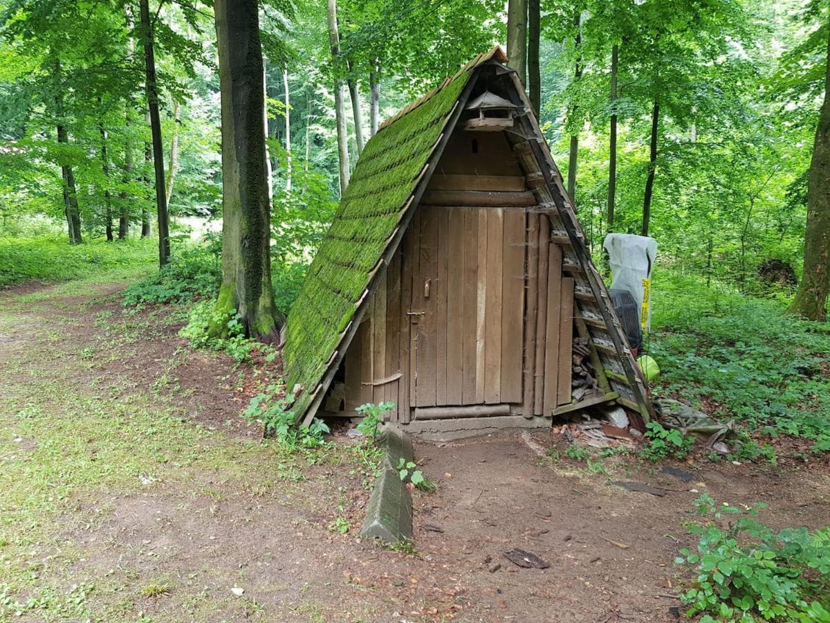 Slovak Cottage Near Bratislava In The Heart Of The Carpathians Модра Екстериор снимка
