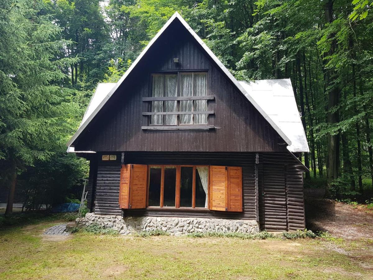 Slovak Cottage Near Bratislava In The Heart Of The Carpathians Модра Екстериор снимка