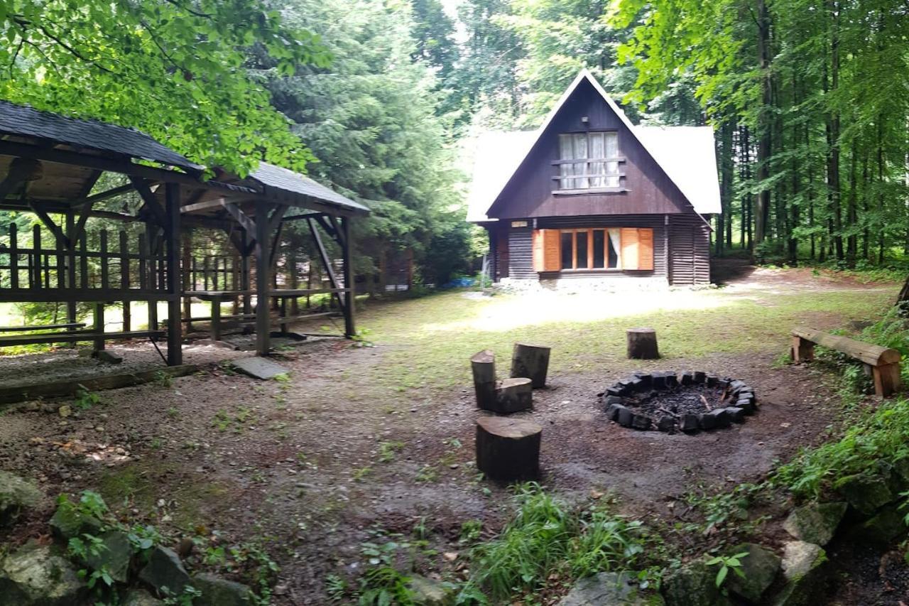 Slovak Cottage Near Bratislava In The Heart Of The Carpathians Модра Екстериор снимка
